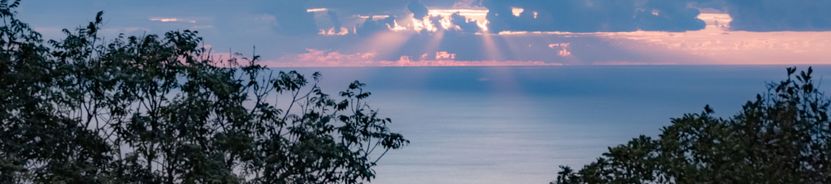 Хостинский район Сочи